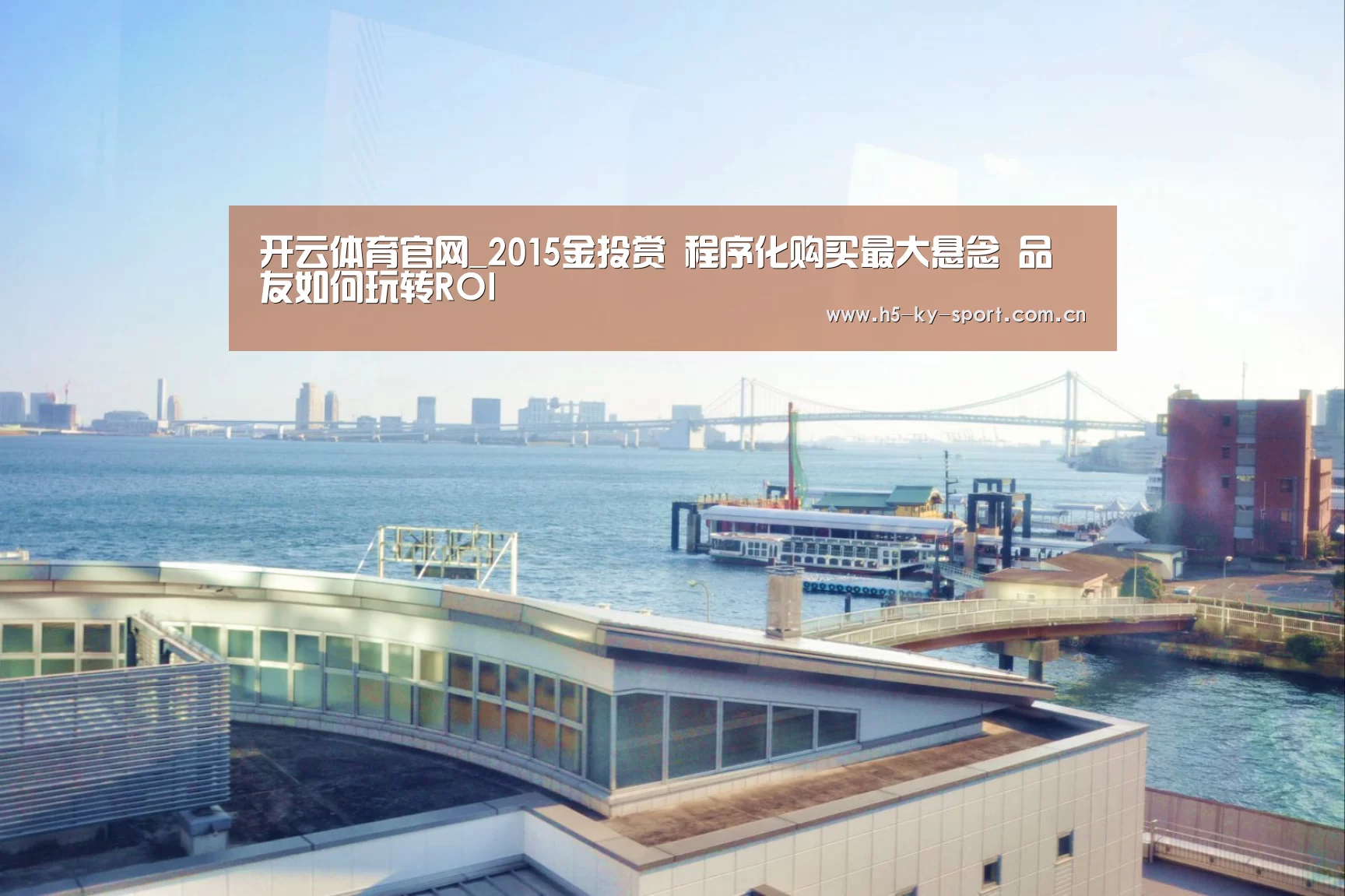 开云体育官网_2015金投赏 程序化购买最大悬念 品友如何玩转ROI(图2) 开云体育